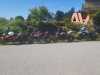 IMG-20230813-WA0001