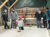 25_0111-Eisstock-003