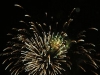 bild365